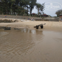 фото из отзыва ID 2082641