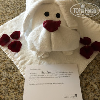 фото из отзыва ID 2082664