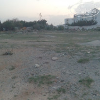 фото из отзыва ID 2082691