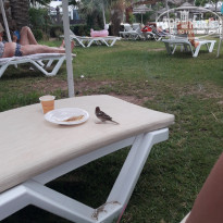 фото из отзыва ID 2082712