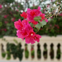 фото из отзыва ID 2082712