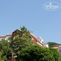 фото из отзыва ID 2082728