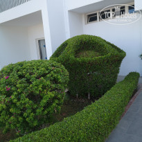 фото из отзыва ID 2082717