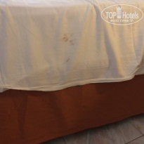 фото из отзыва ID 2082833