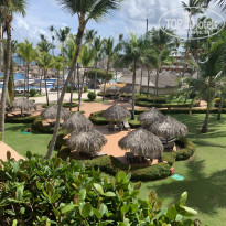 фото из отзыва ID 2083000