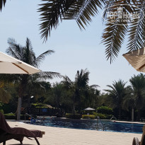 фото из отзыва ID 2082989