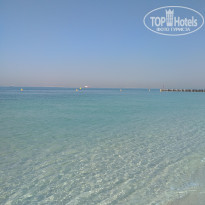 фото из отзыва ID 2083026