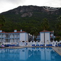 фото из отзыва ID 2082976