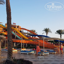 фото из отзыва ID 2083109