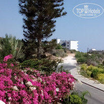 фото из отзыва ID 2083205