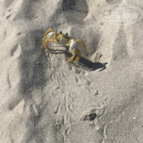 фото из отзыва ID 2083239