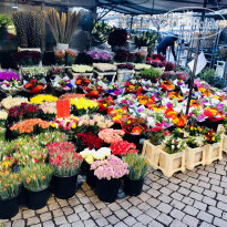 фото из отзыва ID 2083305