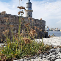 фото из отзыва ID 2083395