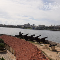 фото из отзыва ID 2083395