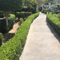 фото из отзыва ID 2083433