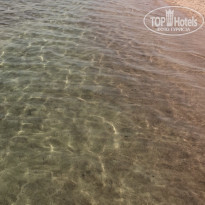 фото из отзыва ID 2083433