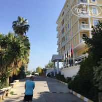 фото из отзыва ID 2083313