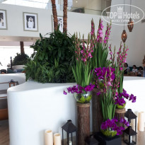 фото из отзыва ID 2083505