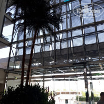 фото из отзыва ID 2083505