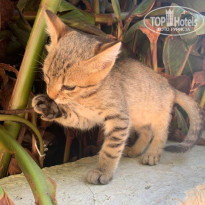 фото из отзыва ID 2083551