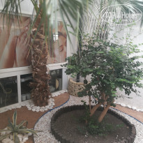 фото из отзыва ID 2083526