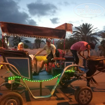 фото из отзыва ID 2083526