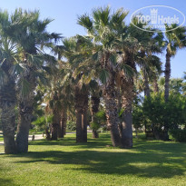 фото из отзыва ID 2083551