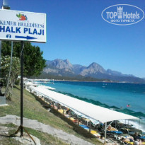 фото из отзыва ID 2083590