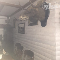 фото из отзыва ID 2083639