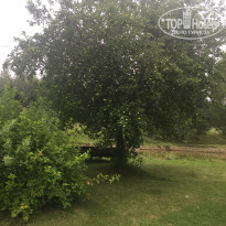 фото из отзыва ID 2083639