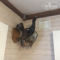 фото из отзыва ID 2083639