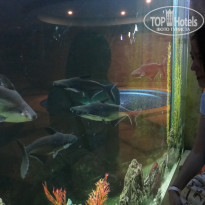 фото из отзыва ID 2083603