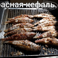 фото из отзыва ID 2083940