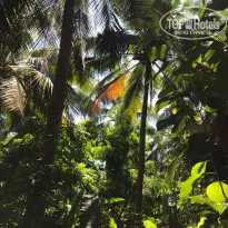 фото из отзыва ID 2084079