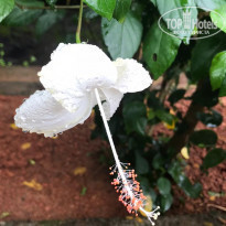 фото из отзыва ID 2084079