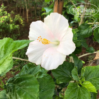 фото из отзыва ID 2084079