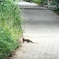 фото из отзыва ID 2084079