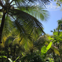 фото из отзыва ID 2084079