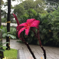 фото из отзыва ID 2084079