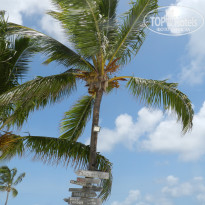 фото из отзыва ID 2084120