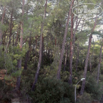 фото из отзыва ID 2084126