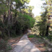 фото из отзыва ID 2084126