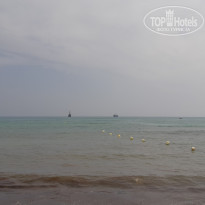 фото из отзыва ID 2082418