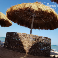 фото из отзыва ID 2084154