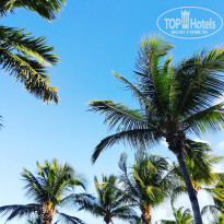 фото из отзыва ID 2084193