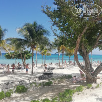 фото из отзыва ID 2084193