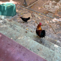 фото из отзыва ID 2084223