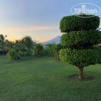 фото из отзыва ID 2084223