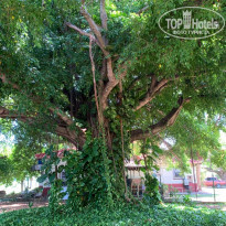 фото из отзыва ID 2084223