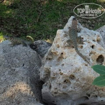 фото из отзыва ID 2084223